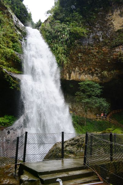 DSC_0241.JPG DSC_0241.JPG