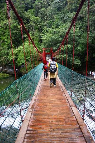 DSC_0367_mh1439780685788.jpg DSC_0367_mh1439780685788.jpg