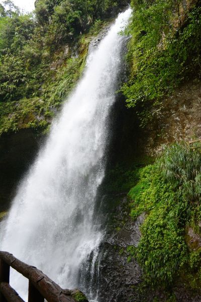 DSC_0239.JPG DSC_0239.JPG