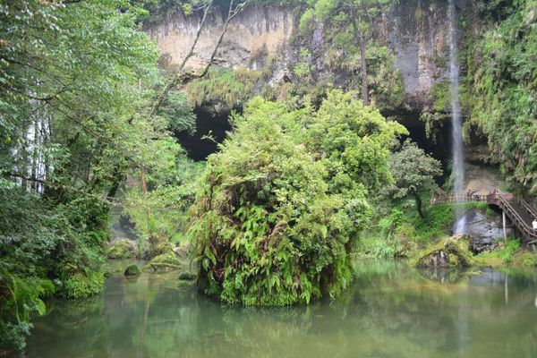 DSC_0371.JPG DSC_0371.JPG