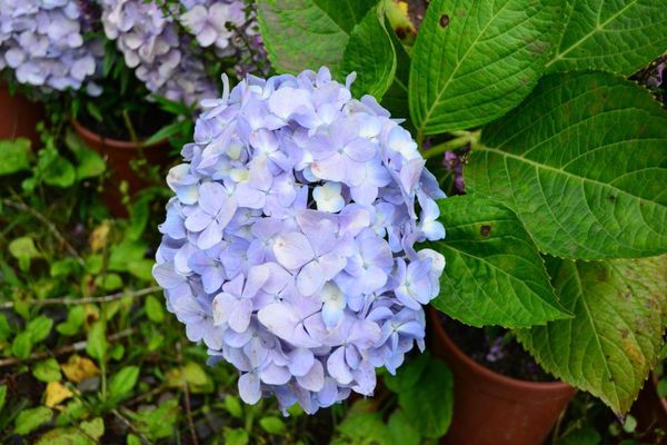 DSC_0392.JPG DSC_0392.JPG