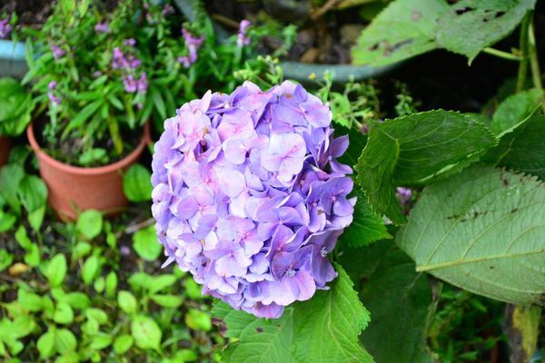 DSC_0389.JPG DSC_0389.JPG