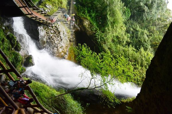 DSC_0222.JPG DSC_0222.JPG