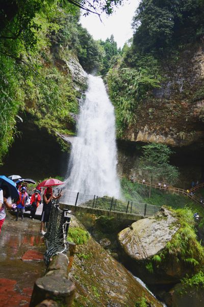 DSC_0261.JPG DSC_0261.JPG