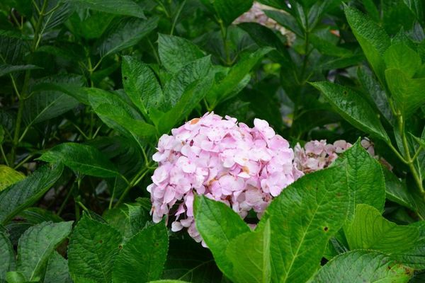 DSC_0161.JPG DSC_0161.JPG