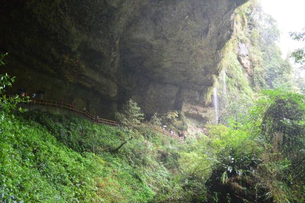 DSC_0237.JPG DSC_0237.JPG