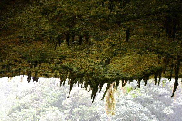 DSC_0212.JPG DSC_0212.JPG