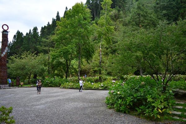 DSC_0376.JPG DSC_0376.JPG