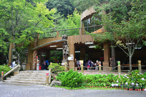 DSC_0385_mh1439781096475.jpg DSC_0385_mh1439781096475.jpg