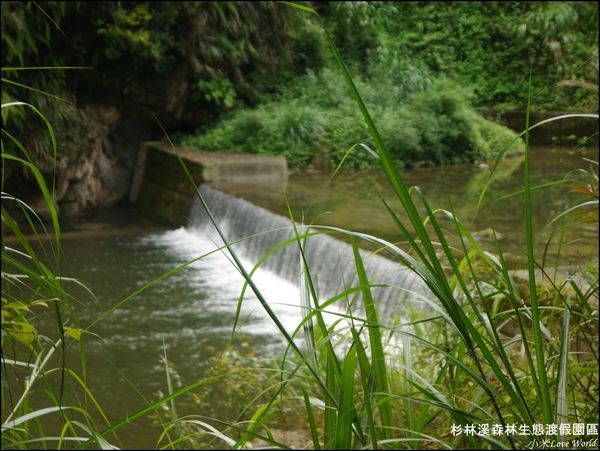 杉林溪森林生態渡假園區P1540507_調整大小1.JPG