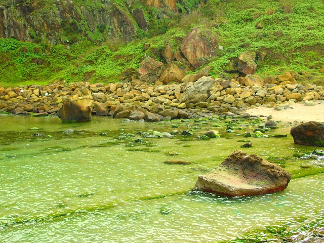 走春。一踏八斗子。鐵道×海岸線×步道