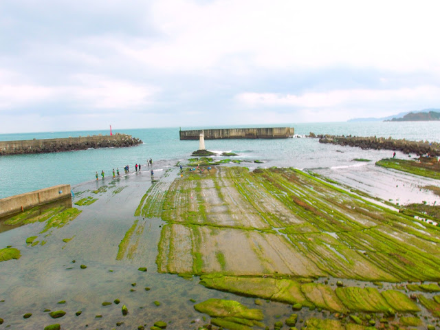 走春。一踏八斗子。鐵道×海岸線×步道