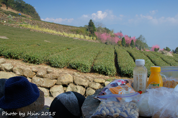 隙頂二延平步道 隙頂二延平步道