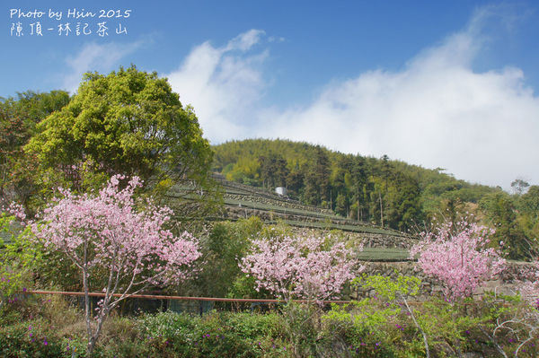 隙頂二延平步道 隙頂二延平步道