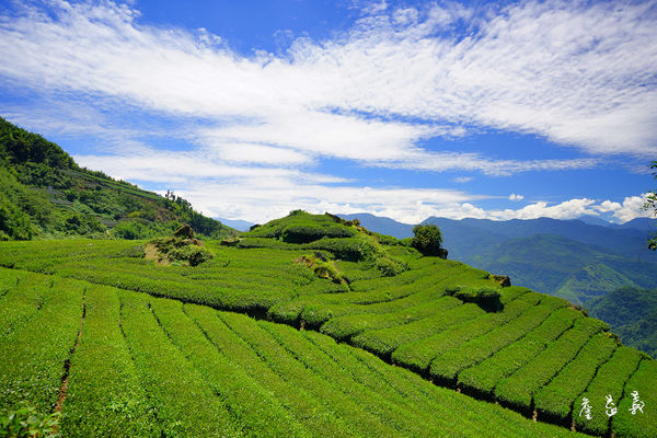 隙頂二延平步道 隙頂二延平步道