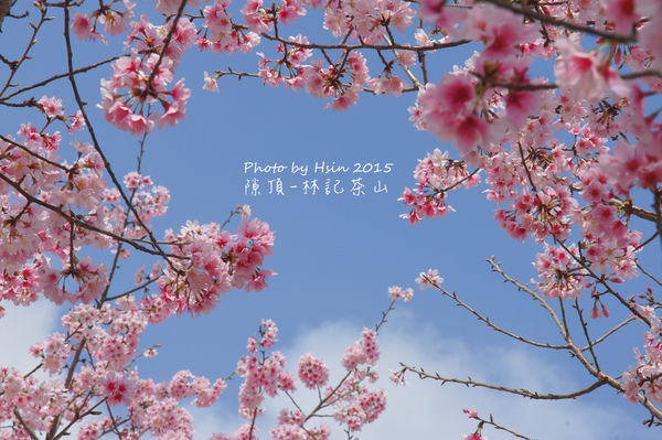 隙頂二延平步道 隙頂二延平步道