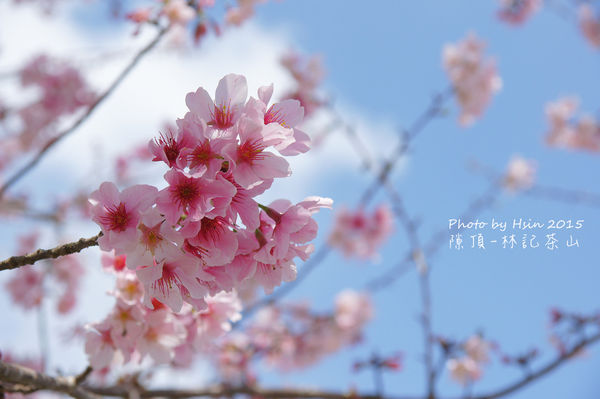 隙頂二延平步道 隙頂二延平步道