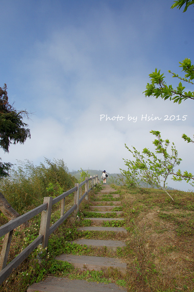 隙頂二延平步道 隙頂二延平步道