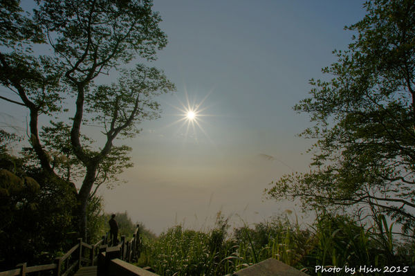 隙頂二延平步道 隙頂二延平步道