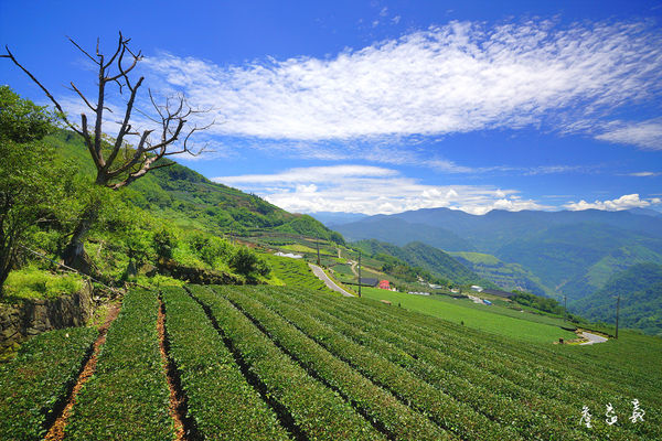 隙頂二延平步道 隙頂二延平步道