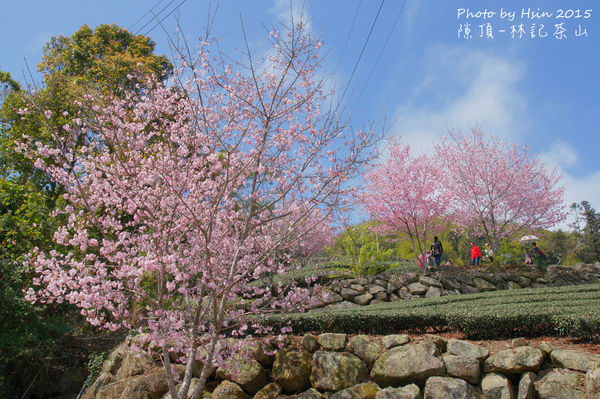 隙頂二延平步道 隙頂二延平步道