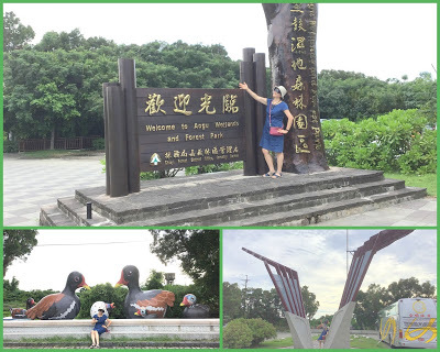 嘉義景點[鰲鼓濕地森林園區]中原大學校友合唱團聯誼˙交流˙怡情怡性