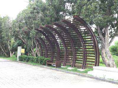 嘉義景點[鰲鼓濕地森林園區]中原大學校友合唱團聯誼˙交流˙怡情怡性