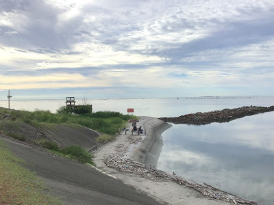 嘉義景點[鰲鼓濕地森林園區]中原大學校友合唱團聯誼˙交流˙怡情怡性