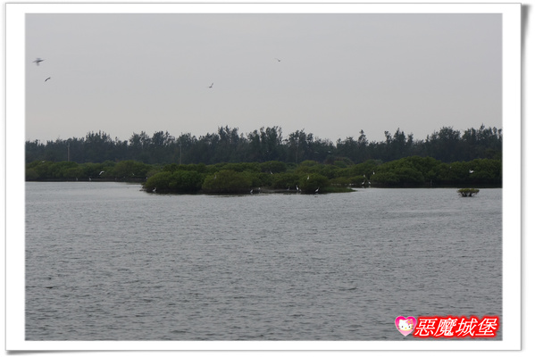 【嘉義。東石】漁人碼頭 + 鰲鼓溼地 + 彰化王功漁港 ~ 好吃的海鮮 + 風很大的濱海公路一日遊 !
