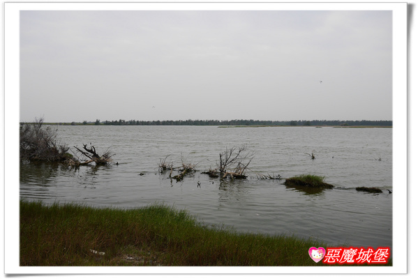 【嘉義。東石】漁人碼頭 + 鰲鼓溼地 + 彰化王功漁港 ~ 好吃的海鮮 + 風很大的濱海公路一日遊 !