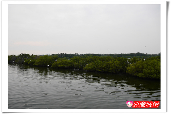 【嘉義。東石】漁人碼頭 + 鰲鼓溼地 + 彰化王功漁港 ~ 好吃的海鮮 + 風很大的濱海公路一日遊 !