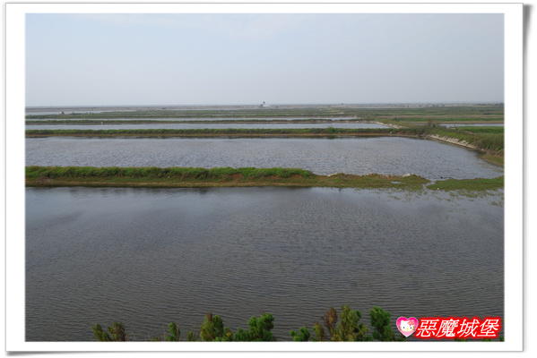 【嘉義。東石】漁人碼頭 + 鰲鼓溼地 + 彰化王功漁港 ~ 好吃的海鮮 + 風很大的濱海公路一日遊 !