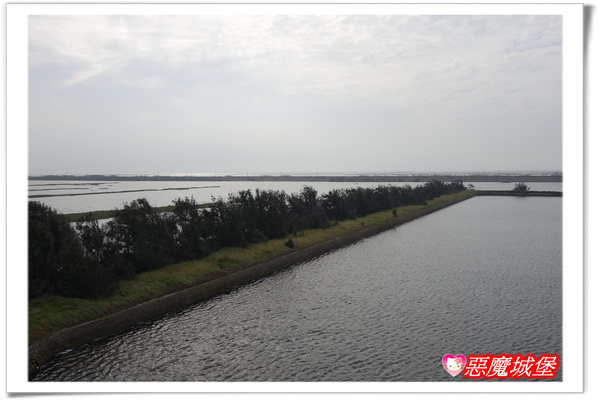 【嘉義。東石】漁人碼頭 + 鰲鼓溼地 + 彰化王功漁港 ~ 好吃的海鮮 + 風很大的濱海公路一日遊 !