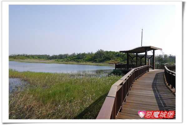 【嘉義。東石】漁人碼頭 + 鰲鼓溼地 + 彰化王功漁港 ~ 好吃的海鮮 + 風很大的濱海公路一日遊 !