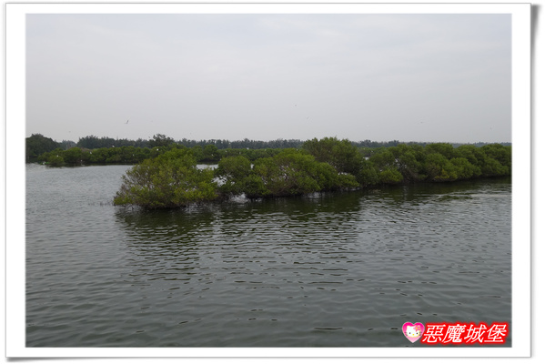 【嘉義。東石】漁人碼頭 + 鰲鼓溼地 + 彰化王功漁港 ~ 好吃的海鮮 + 風很大的濱海公路一日遊 !