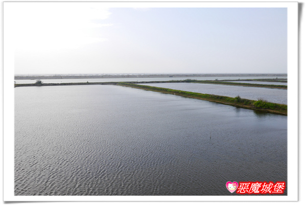 【嘉義。東石】漁人碼頭 + 鰲鼓溼地 + 彰化王功漁港 ~ 好吃的海鮮 + 風很大的濱海公路一日遊 !
