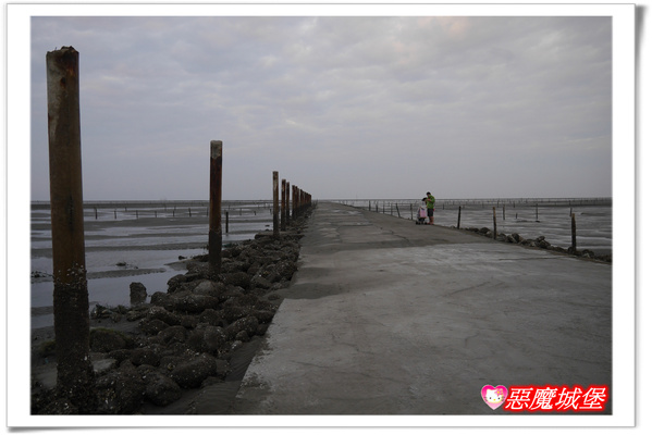 【嘉義。東石】漁人碼頭 + 鰲鼓溼地 + 彰化王功漁港 ~ 好吃的海鮮 + 風很大的濱海公路一日遊 !