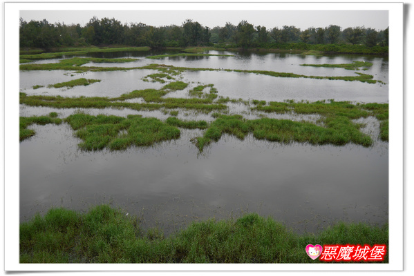 【嘉義。東石】漁人碼頭 + 鰲鼓溼地 + 彰化王功漁港 ~ 好吃的海鮮 + 風很大的濱海公路一日遊 !