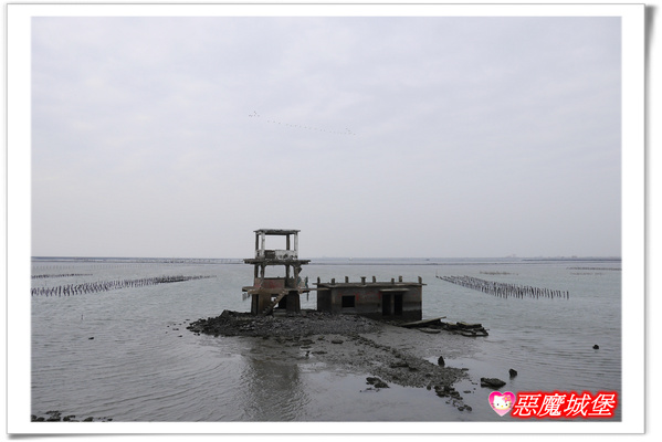 【嘉義。東石】漁人碼頭 + 鰲鼓溼地 + 彰化王功漁港 ~ 好吃的海鮮 + 風很大的濱海公路一日遊 !