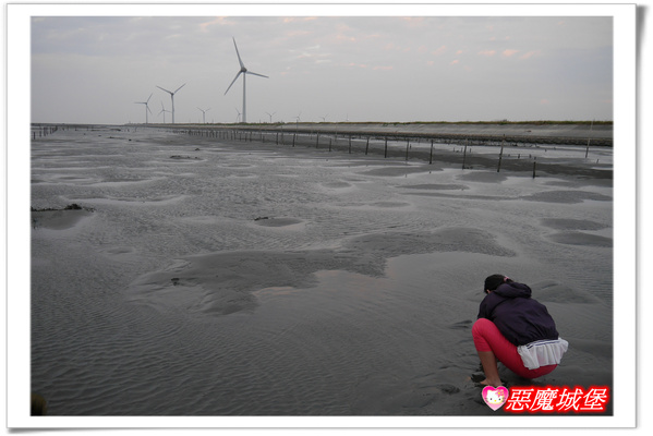 【嘉義。東石】漁人碼頭 + 鰲鼓溼地 + 彰化王功漁港 ~ 好吃的海鮮 + 風很大的濱海公路一日遊 !