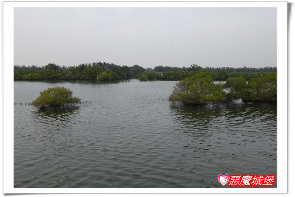 【嘉義。東石】漁人碼頭 + 鰲鼓溼地 + 彰化王功漁港 ~ 好吃的海鮮 + 風很大的濱海公路一日遊 !