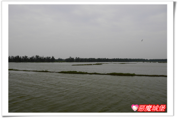 【嘉義。東石】漁人碼頭 + 鰲鼓溼地 + 彰化王功漁港 ~ 好吃的海鮮 + 風很大的濱海公路一日遊 !