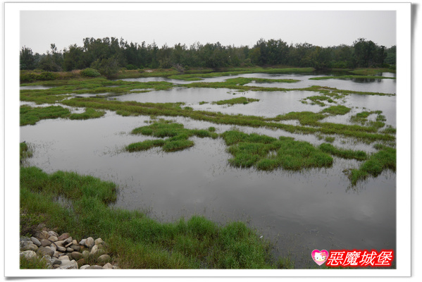 【嘉義。東石】漁人碼頭 + 鰲鼓溼地 + 彰化王功漁港 ~ 好吃的海鮮 + 風很大的濱海公路一日遊 !