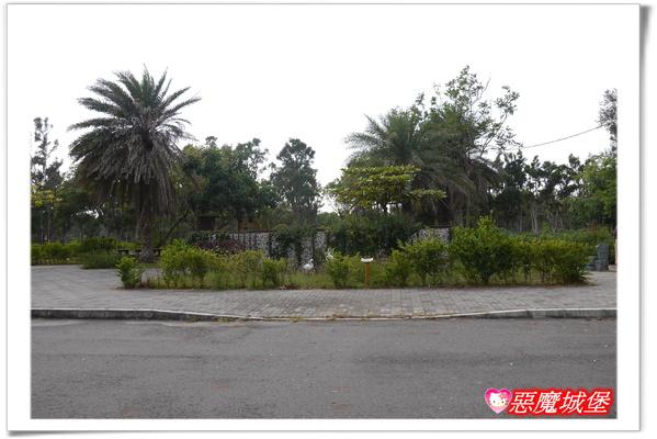 【嘉義。東石】漁人碼頭 + 鰲鼓溼地 + 彰化王功漁港 ~ 好吃的海鮮 + 風很大的濱海公路一日遊 !