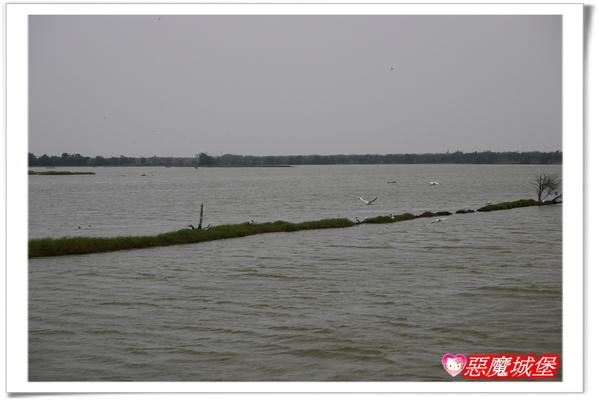 【嘉義。東石】漁人碼頭 + 鰲鼓溼地 + 彰化王功漁港 ~ 好吃的海鮮 + 風很大的濱海公路一日遊 !