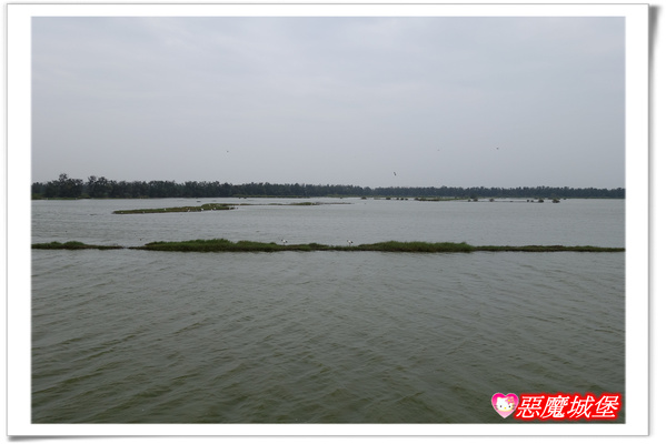 【嘉義。東石】漁人碼頭 + 鰲鼓溼地 + 彰化王功漁港 ~ 好吃的海鮮 + 風很大的濱海公路一日遊 !