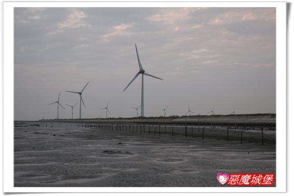 【嘉義。東石】漁人碼頭 + 鰲鼓溼地 + 彰化王功漁港 ~ 好吃的海鮮 + 風很大的濱海公路一日遊 !