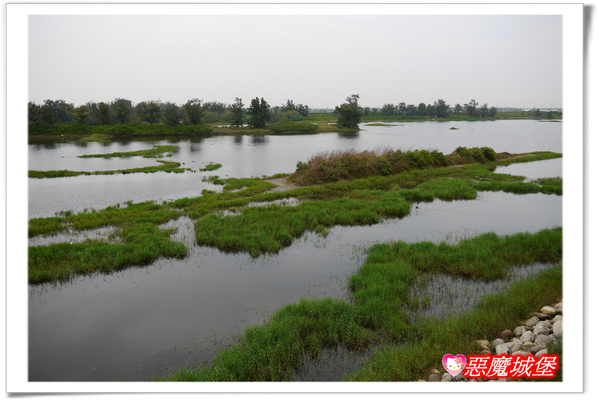 【嘉義。東石】漁人碼頭 + 鰲鼓溼地 + 彰化王功漁港 ~ 好吃的海鮮 + 風很大的濱海公路一日遊 !