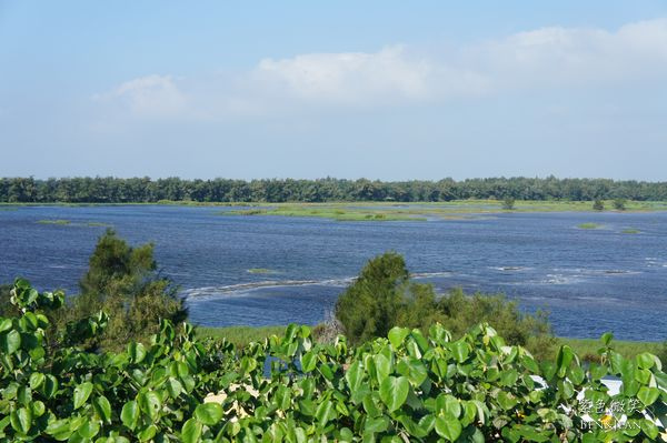 DSC06426