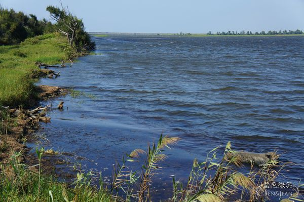 DSC06415